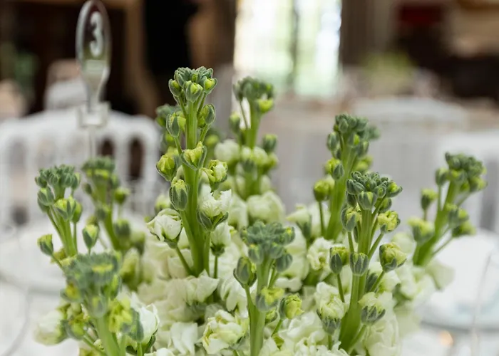 Alojamento de Acomodação e Pequeno-almoço Il Palagio Vecchio 4*