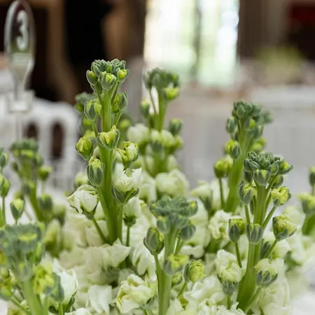 Bed & Breakfast Il Palagio Vecchio 4*